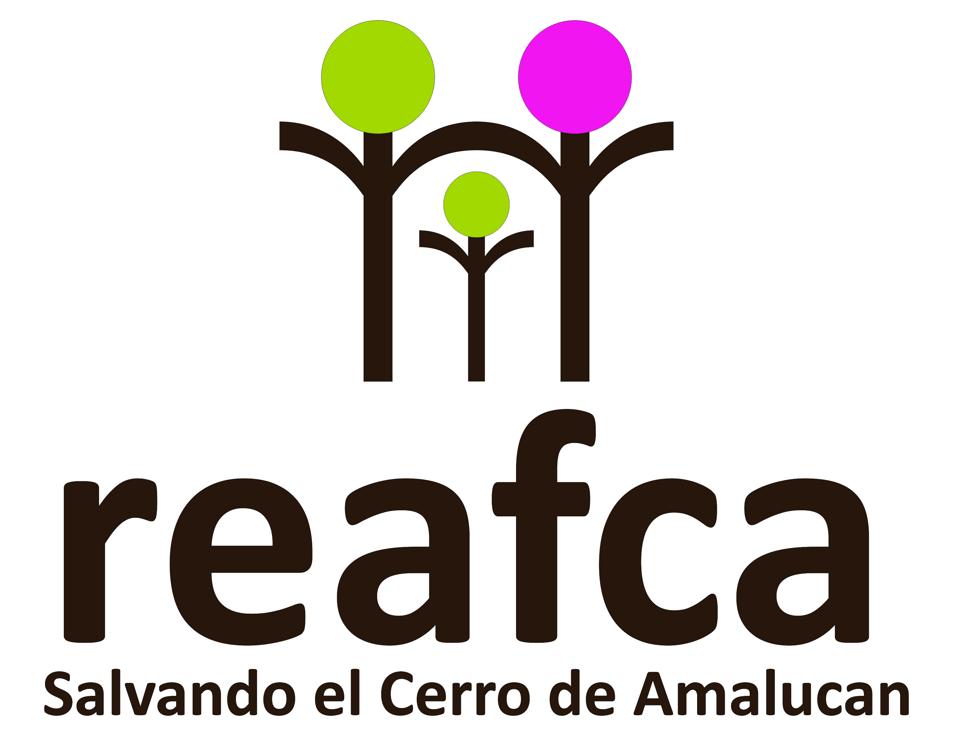 Grupo Social Salvando el Cerro de Amalucan iniciativa REAFCA