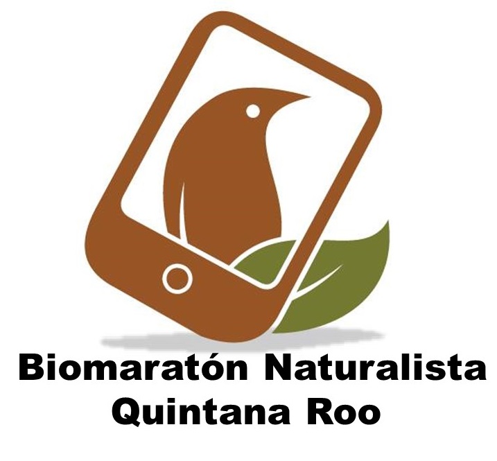 Cecilia Álvarez Tutor Naturalista Península de Yucatán