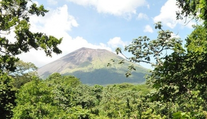 Promueve la reforestación la Red de Reservas Silvestres Privadas de Nicaragua