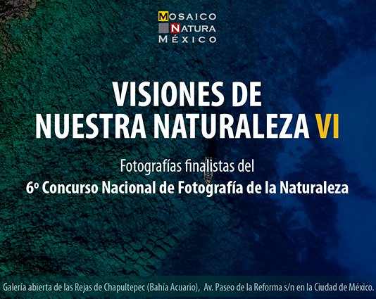 Exposición finalistas del concurso Mosaico Natura VI