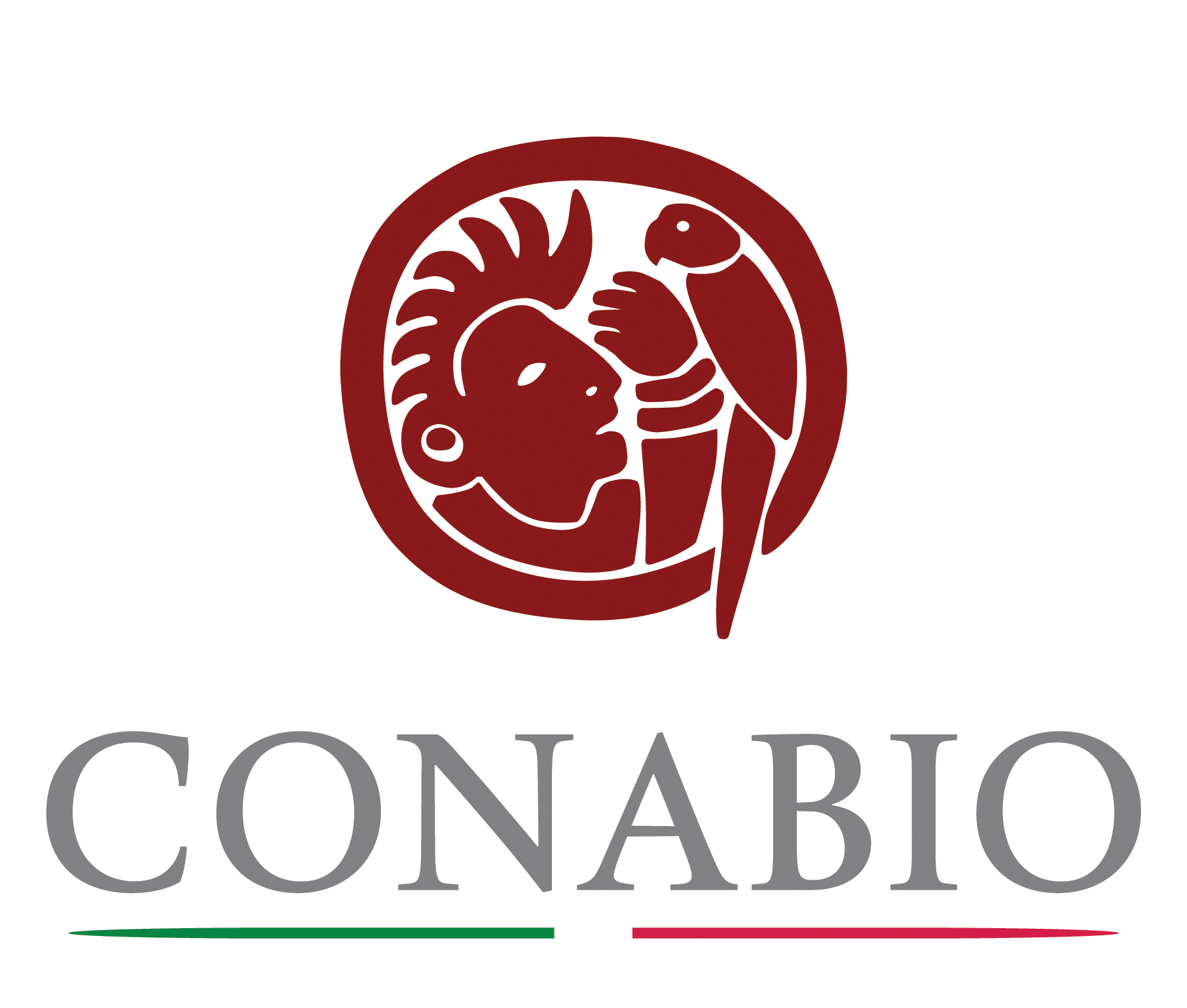 icon for collection