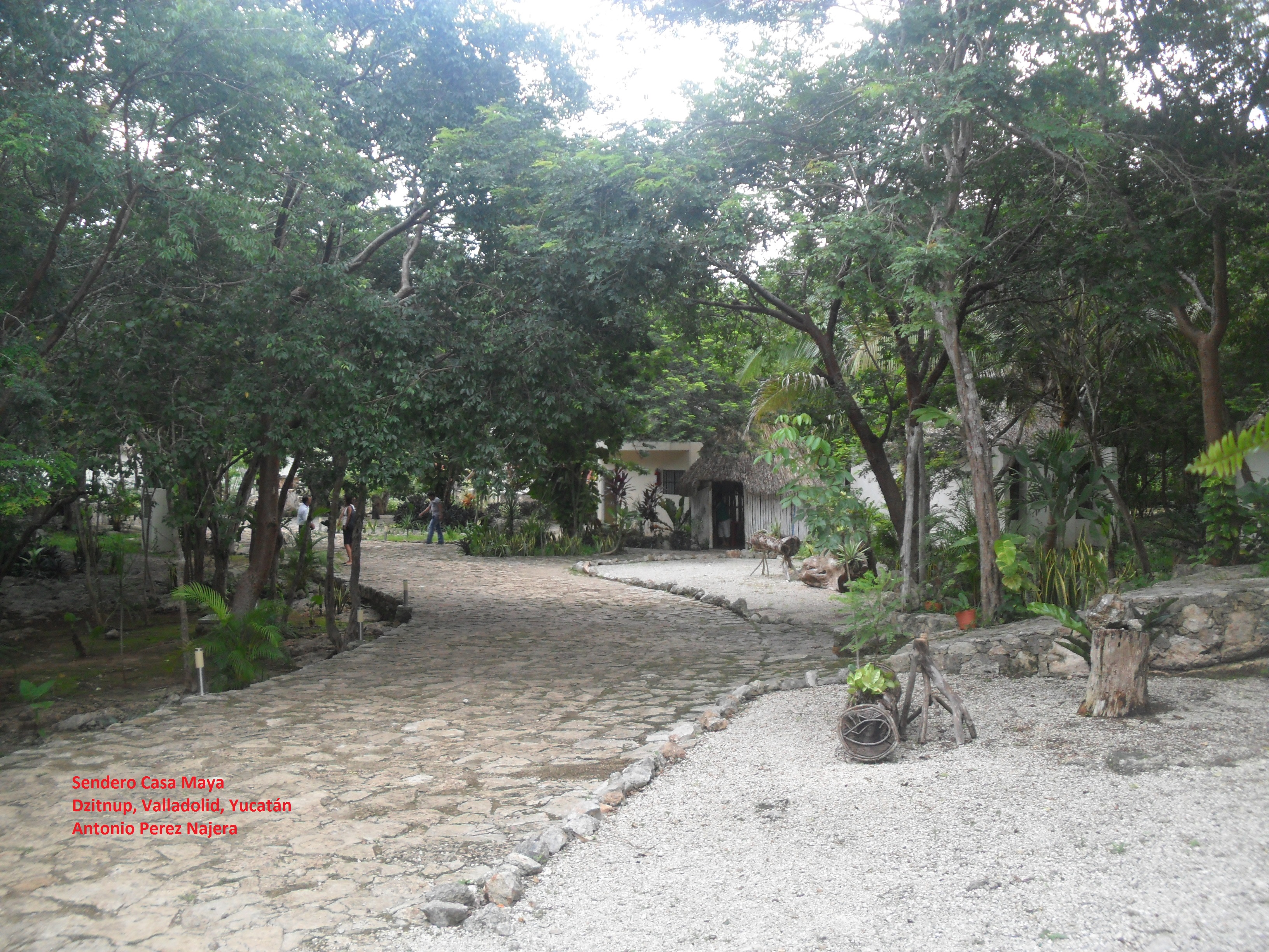 Sendero.jpg