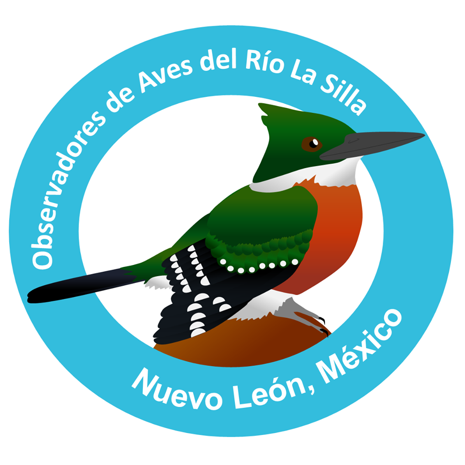 Observadores de Aves del Río la Silla