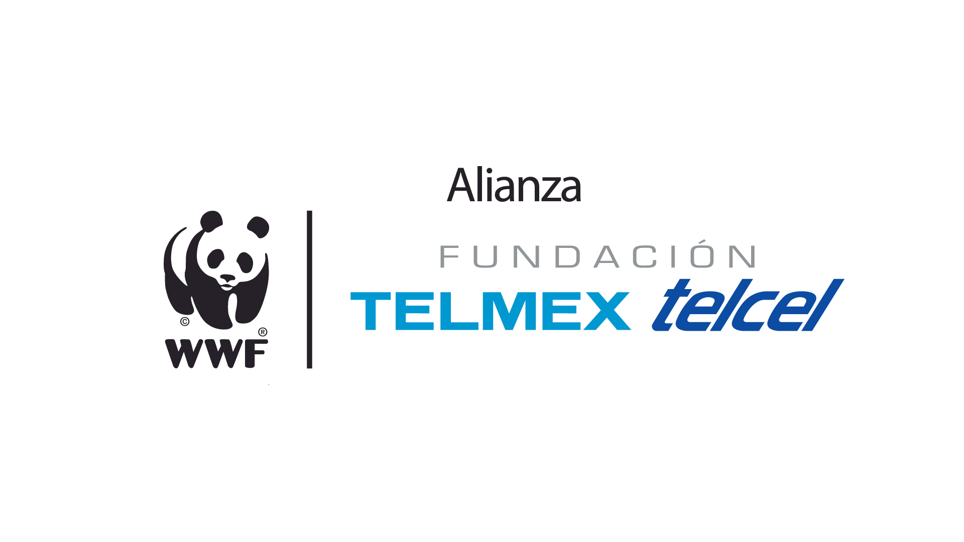 Alianza WWF Fundación Telmex-Telcel