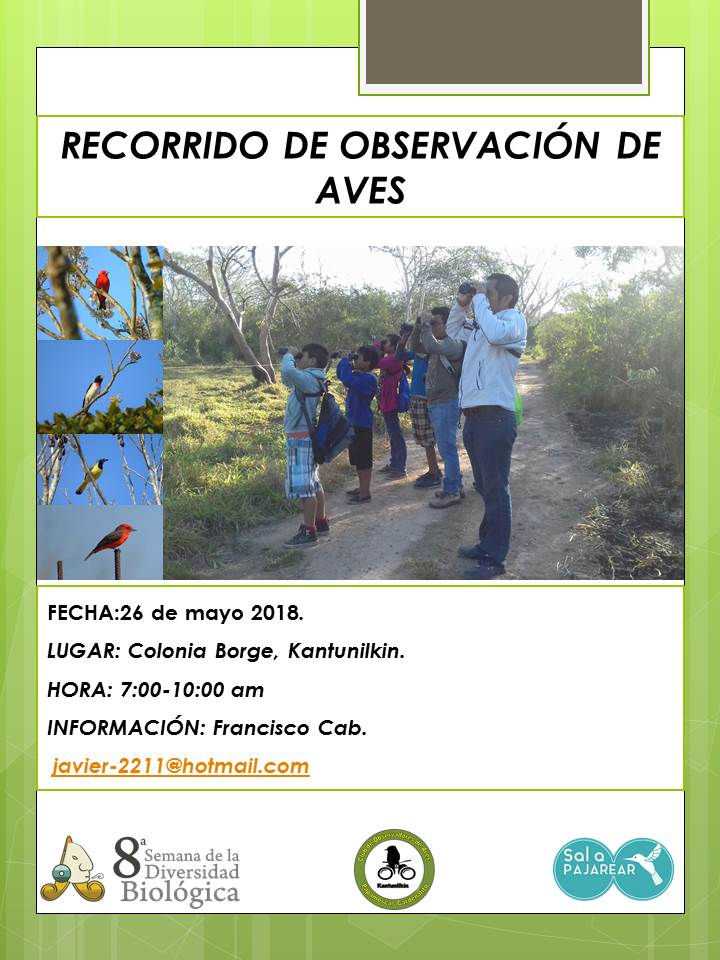Observaciondeaves.jpg