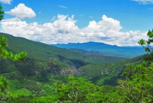 Corredor Biológico Pino-Encino en Honduras