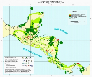 Primer taller técnico regional de definición de información cartográfica para la plataforma sobre gestión territorial sostenible en el CBM
