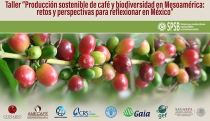 Taller Producción sostenible de café y biodiversidad en Mesoamérica
