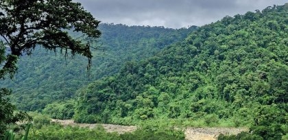Aprobado financiamiento para fortalecer capacidades para la gestión territorial sostenible del Corredor Biológico Mesoamericano en  Guatemala