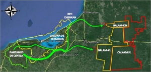 La importancia de la conectividad entre ANP: jaguar y tortuga marina en el corredor biológico sur de la planicie costera del Golfo de México y Península de Yucatán