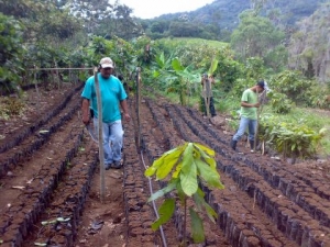 Programa de producción y conservación en bosques de Costa Rica