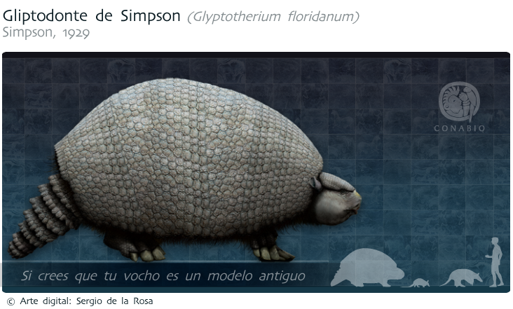 Gliptodonte