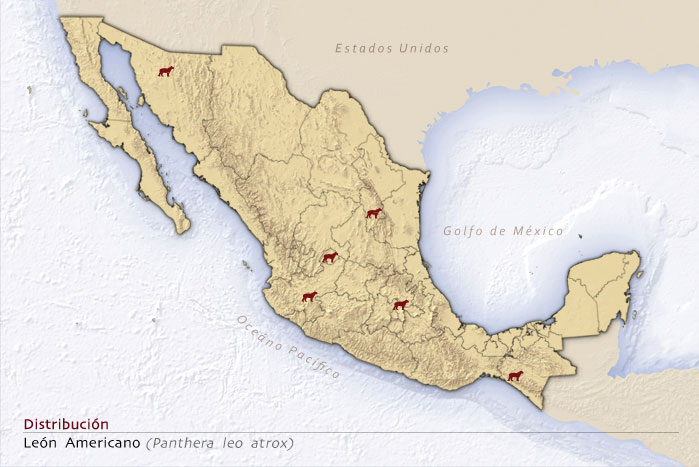 Top 44+ imagen donde hay leones en mexico