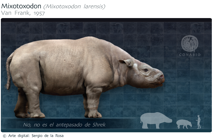 Mixotoxodon