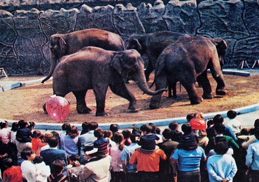 Zoológico de Chapultepec