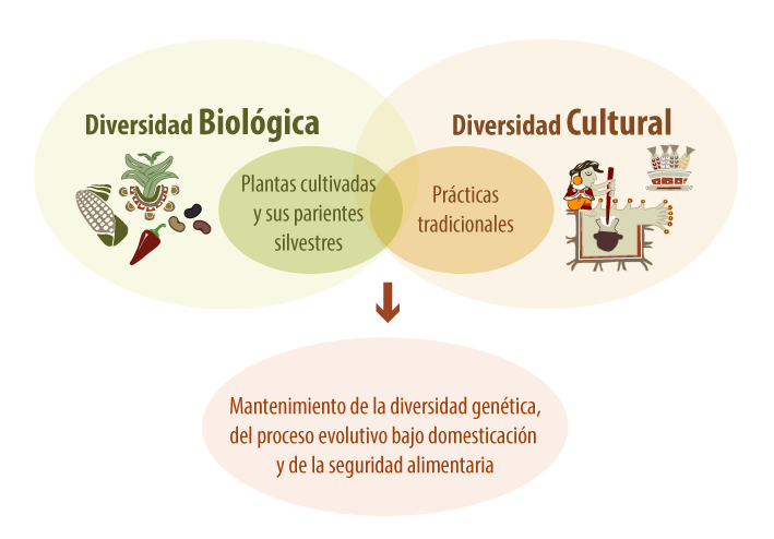 Diversidad_biológica_cultural