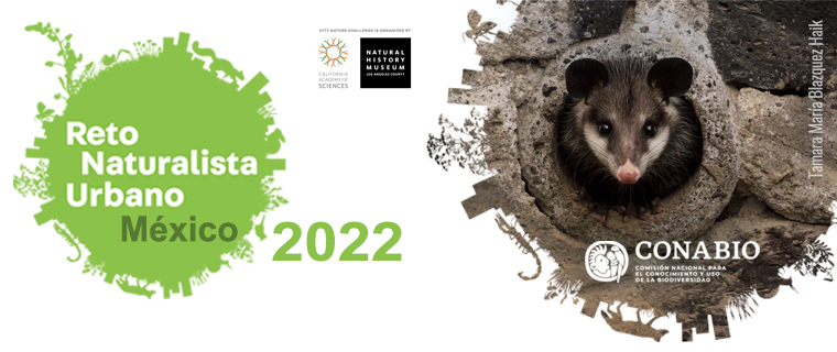 Pleca de Reto Naturalista 2022