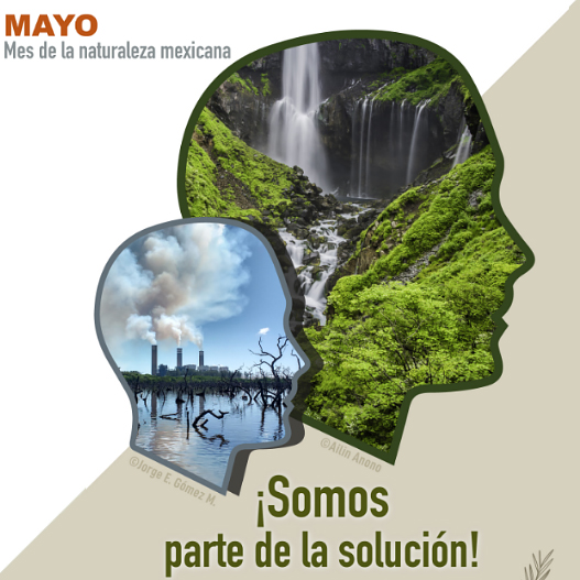Mayo, mes de la naturaleza mexicana 2021