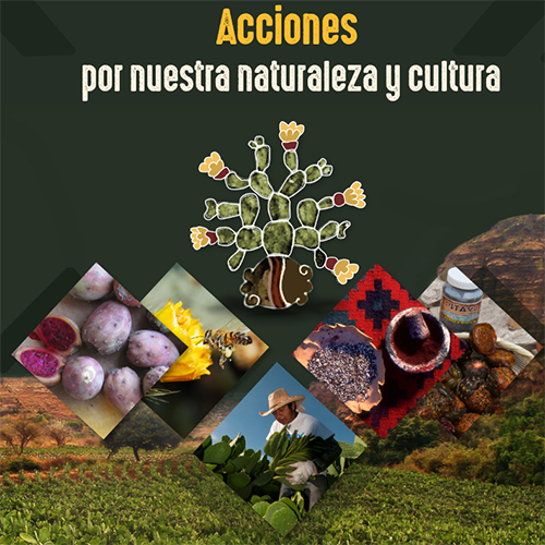 Mayo, mes de la naturaleza mexicana 2023