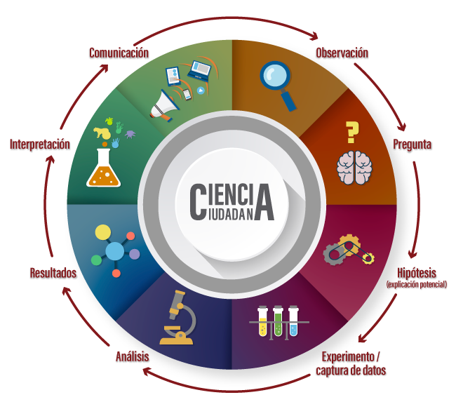 infografía de ciencia ciudadana