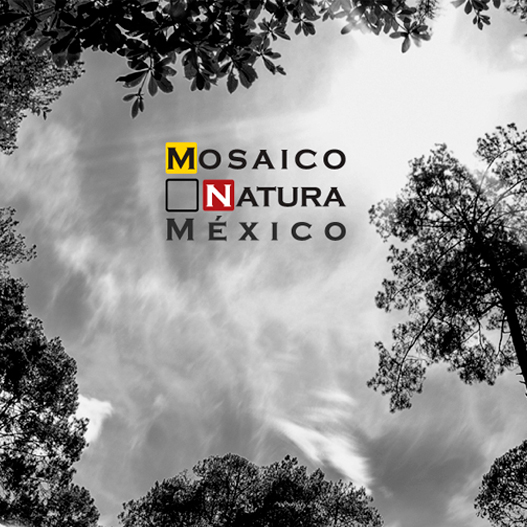 concurso de fotografía de la naturaleza