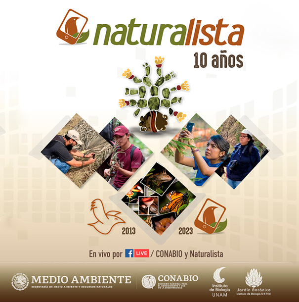 Naturalista 10 a os Biodiversidad Mexicana