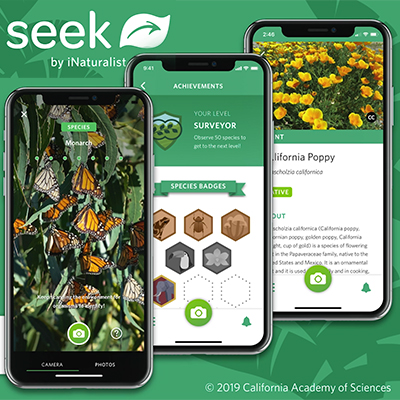 App Seek