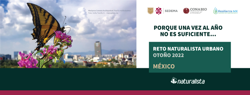 Pleca de Reto Naturalista Otoño 2022