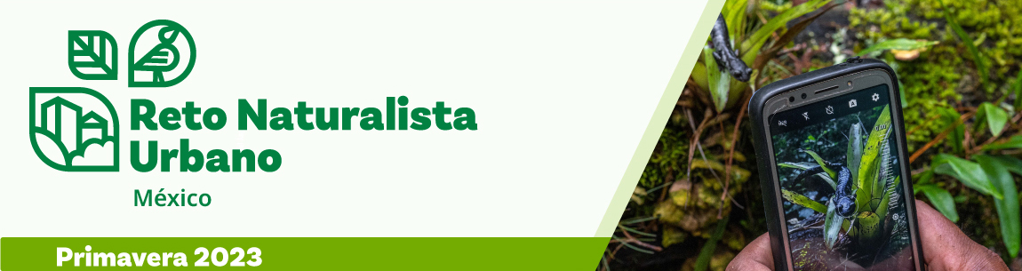 Pleca de Reto Naturalista Otoño 2022