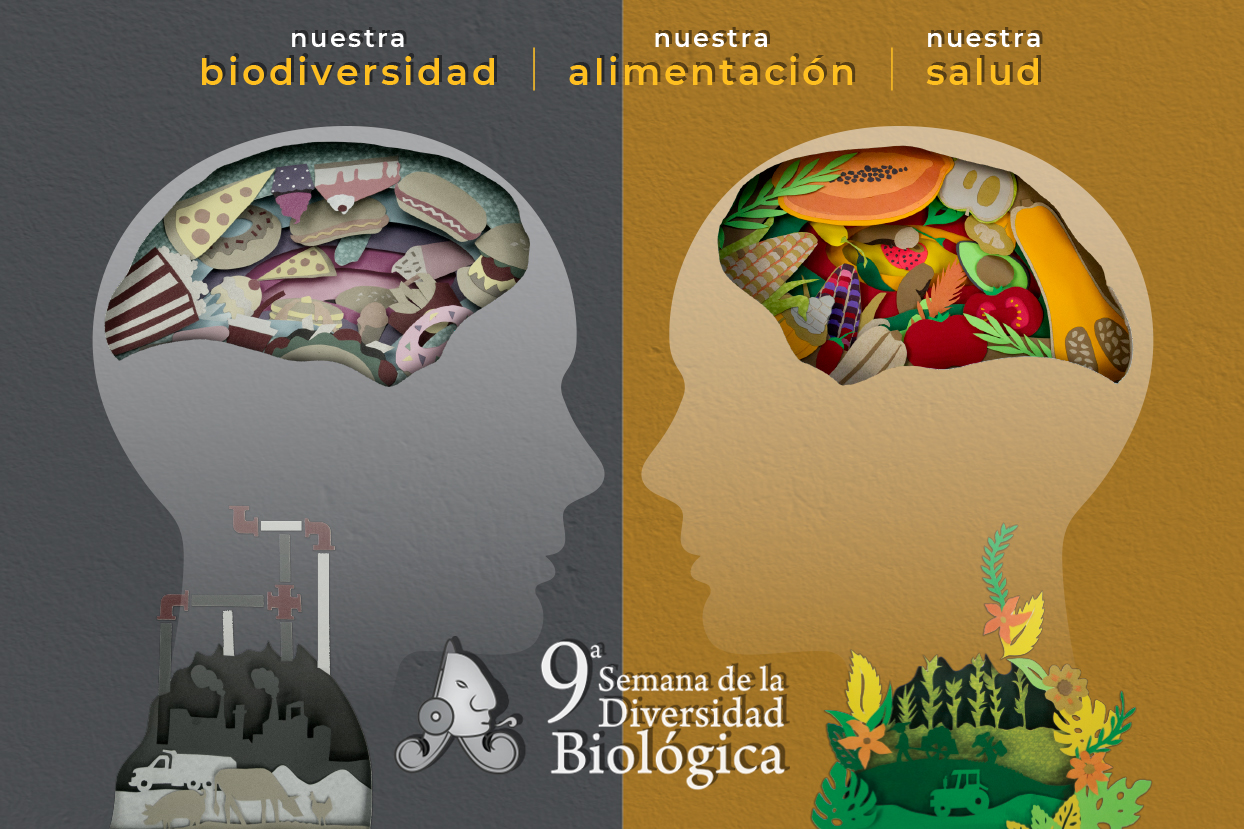 9a semana de la diversidad biológica