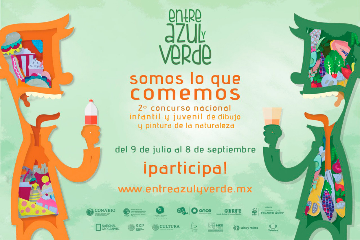 concurso entre azul y verde