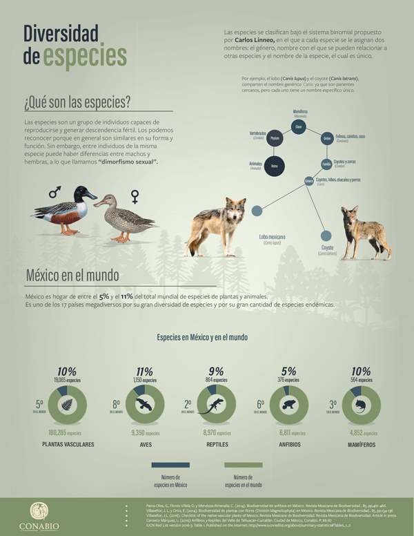 Diversidad de especies