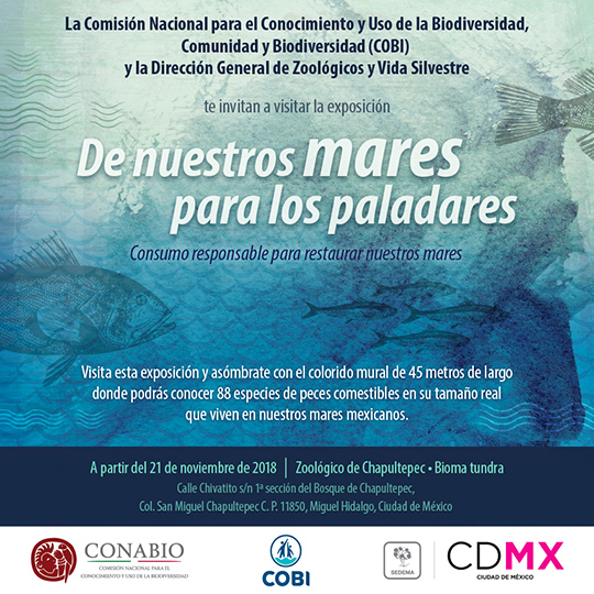 Exposición De nuestros mares a los paladares