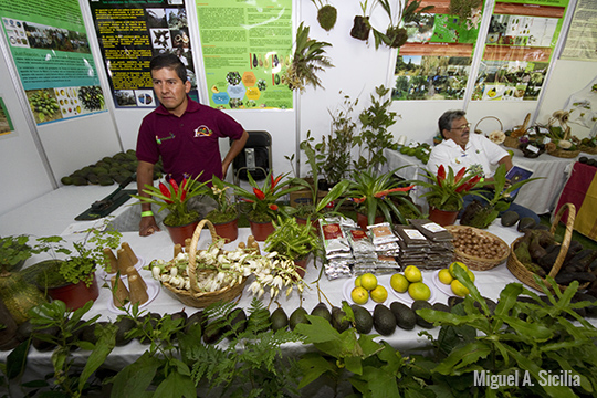 Productos orgánicos