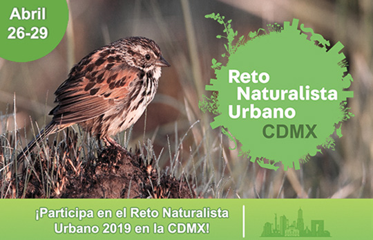 Reto NaturaLista 2019