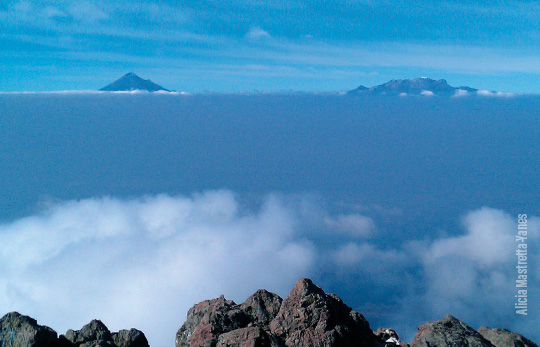 Biodiversitas, Islas frías