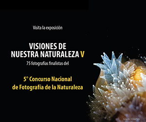 Visiones de nuestra naturaleza