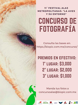 Concurso de fotografía de aves