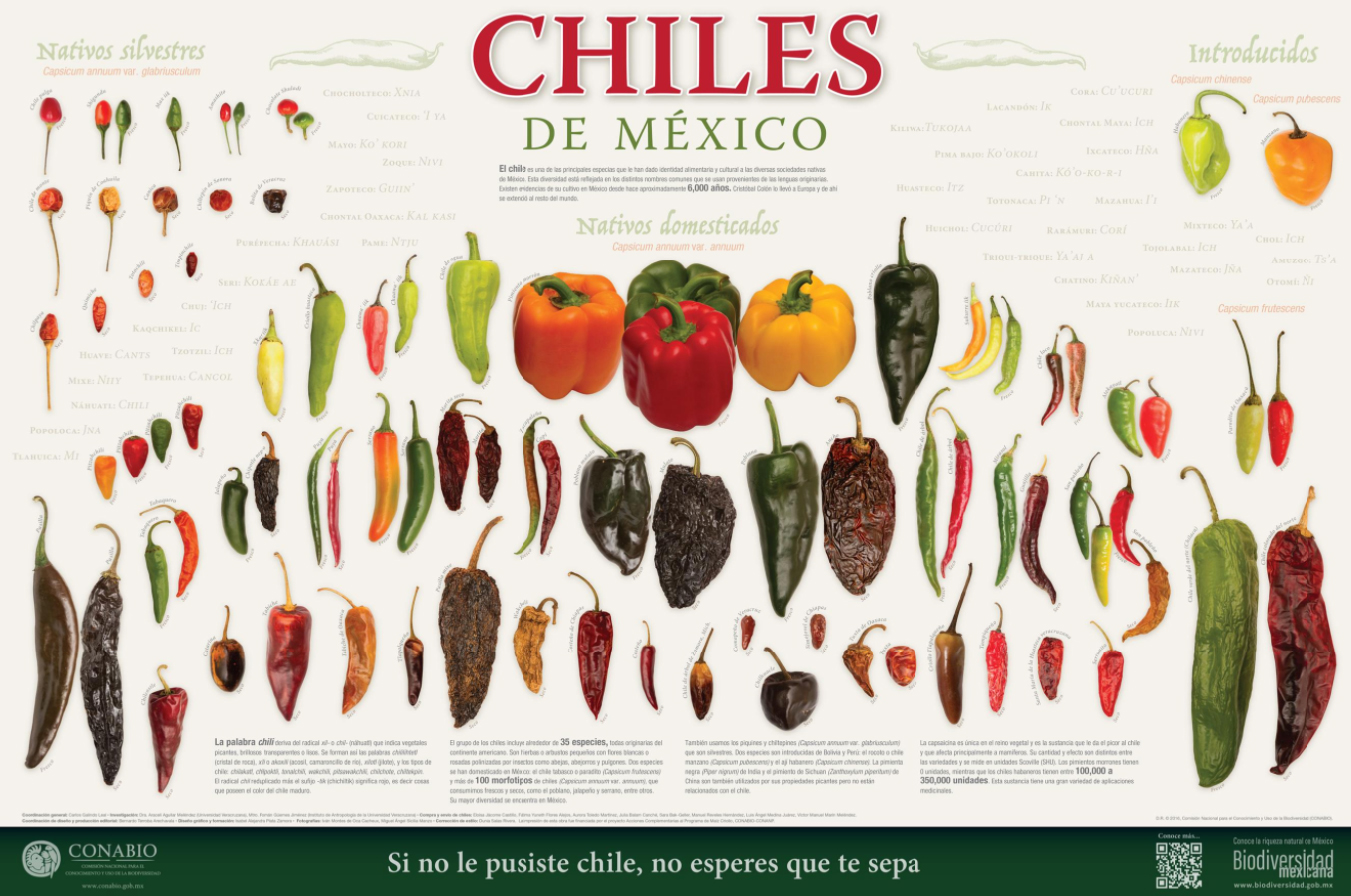 Cartel de chiles