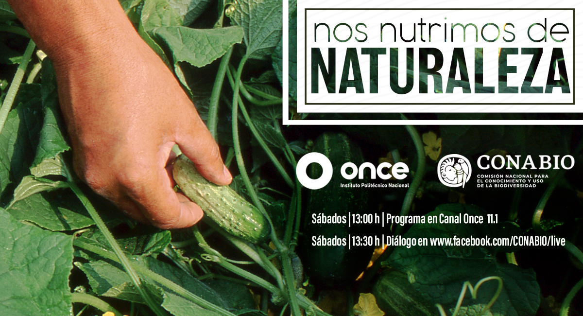 Nos nutrimos de naturaleza