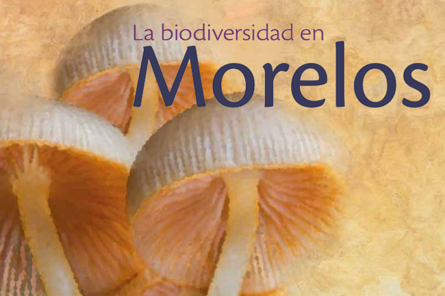 Biodiversidad de Morelos