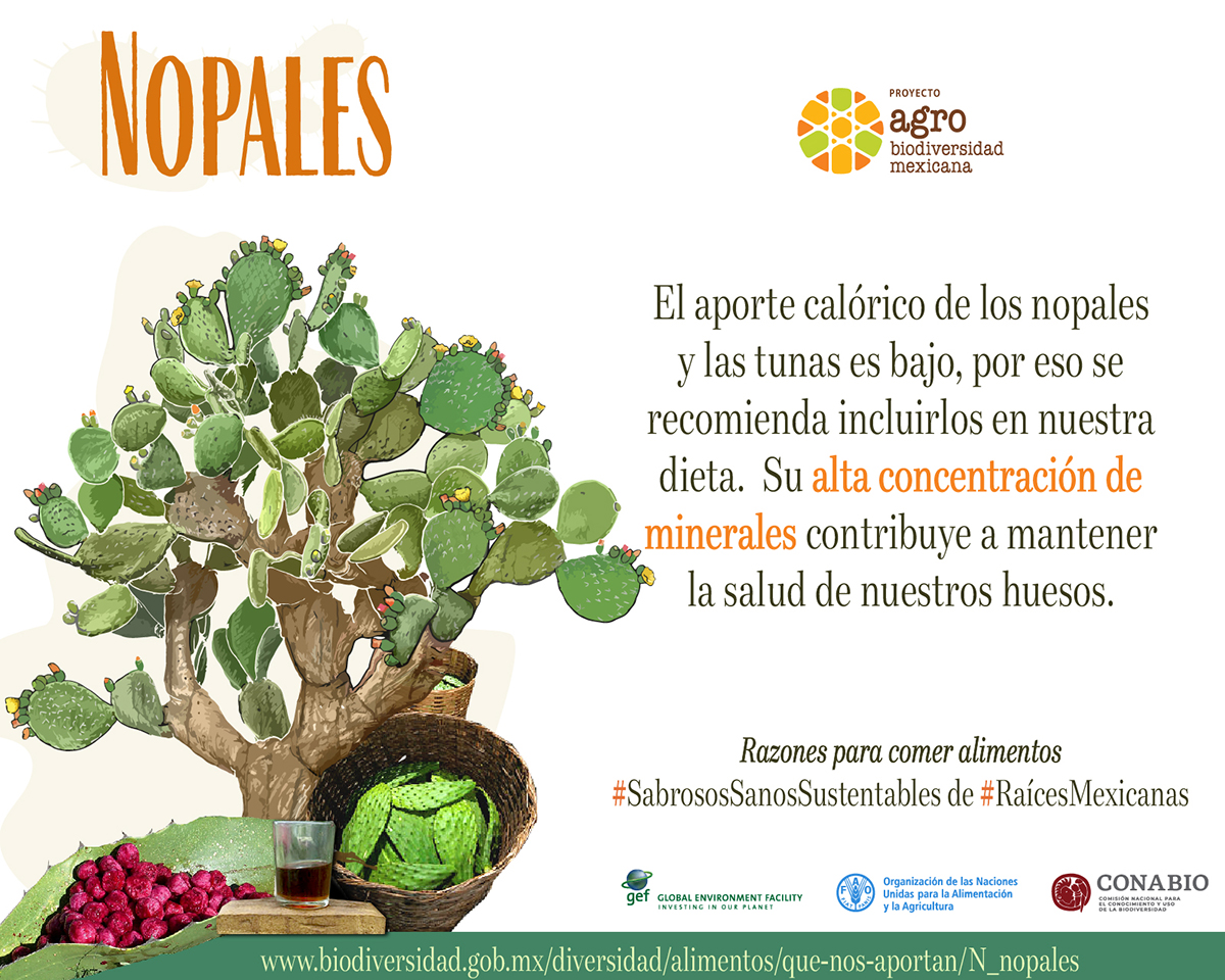 nopales