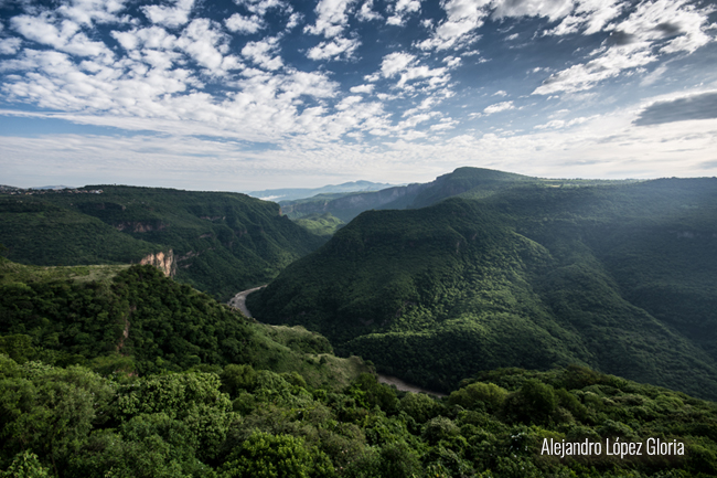 Selva seca. Jalisco, México