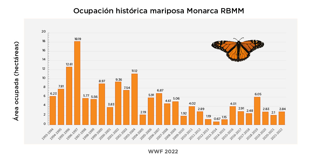 Estadísticas de Mariposa Monarca