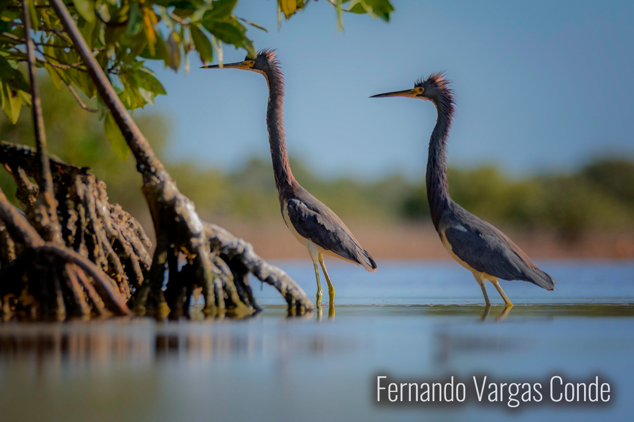 En armonía con la naturaleza