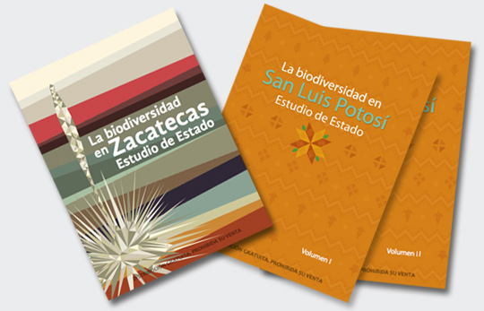 Estudio de estado Zacatecas y San Luis Potosí