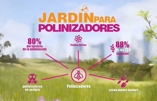 Jardín para polinizadores