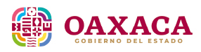 Gobierno de oaxaca