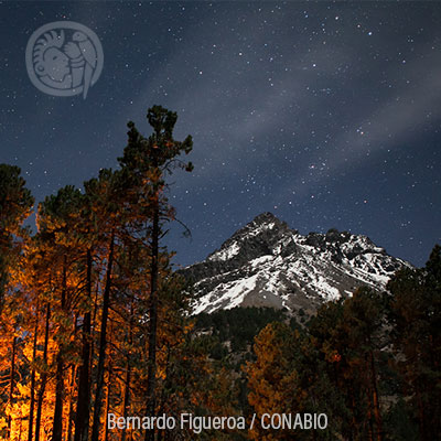 Nevado de Colima