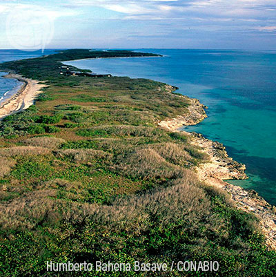 Isla Contoy